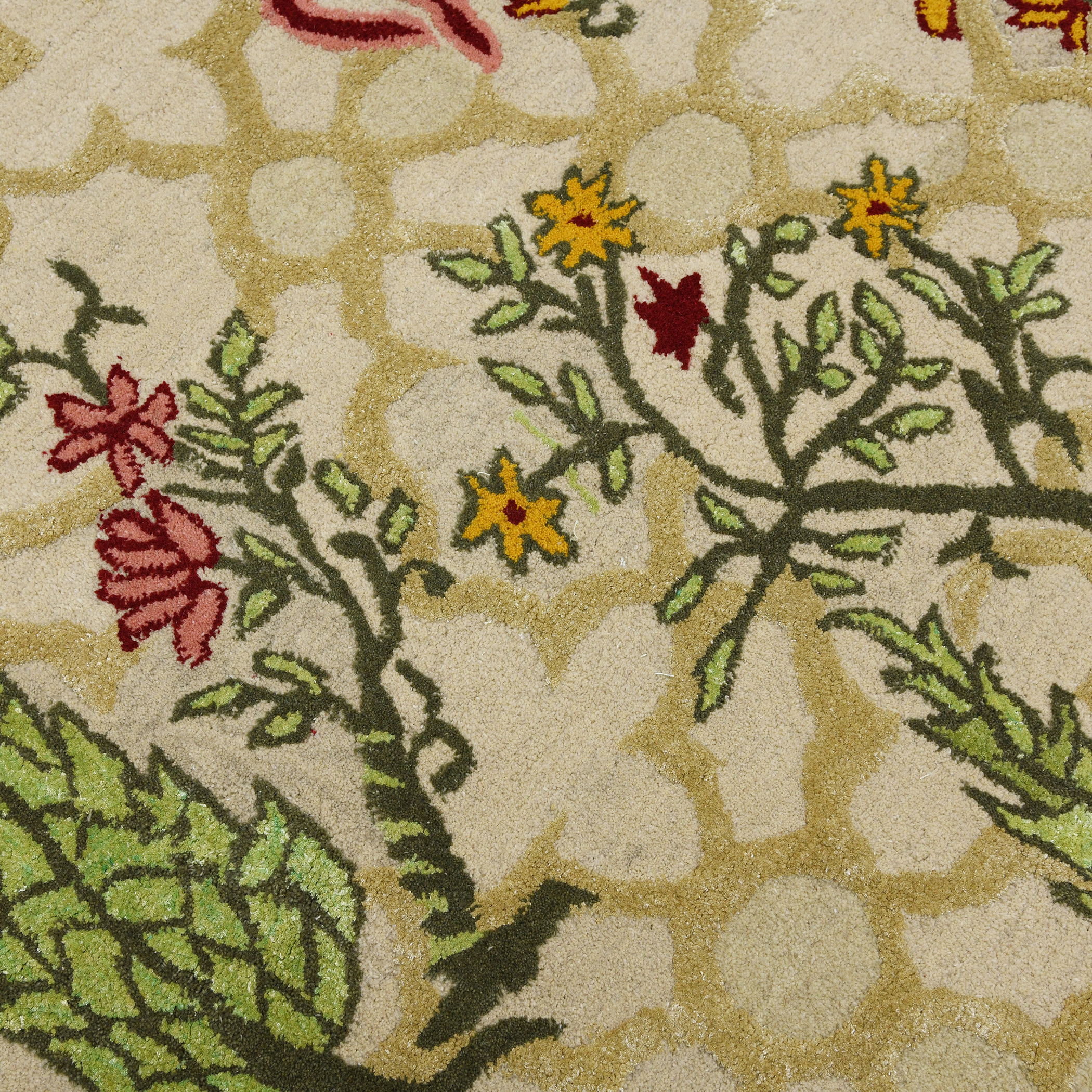 FRESCO FRE-2-Cream Main Image