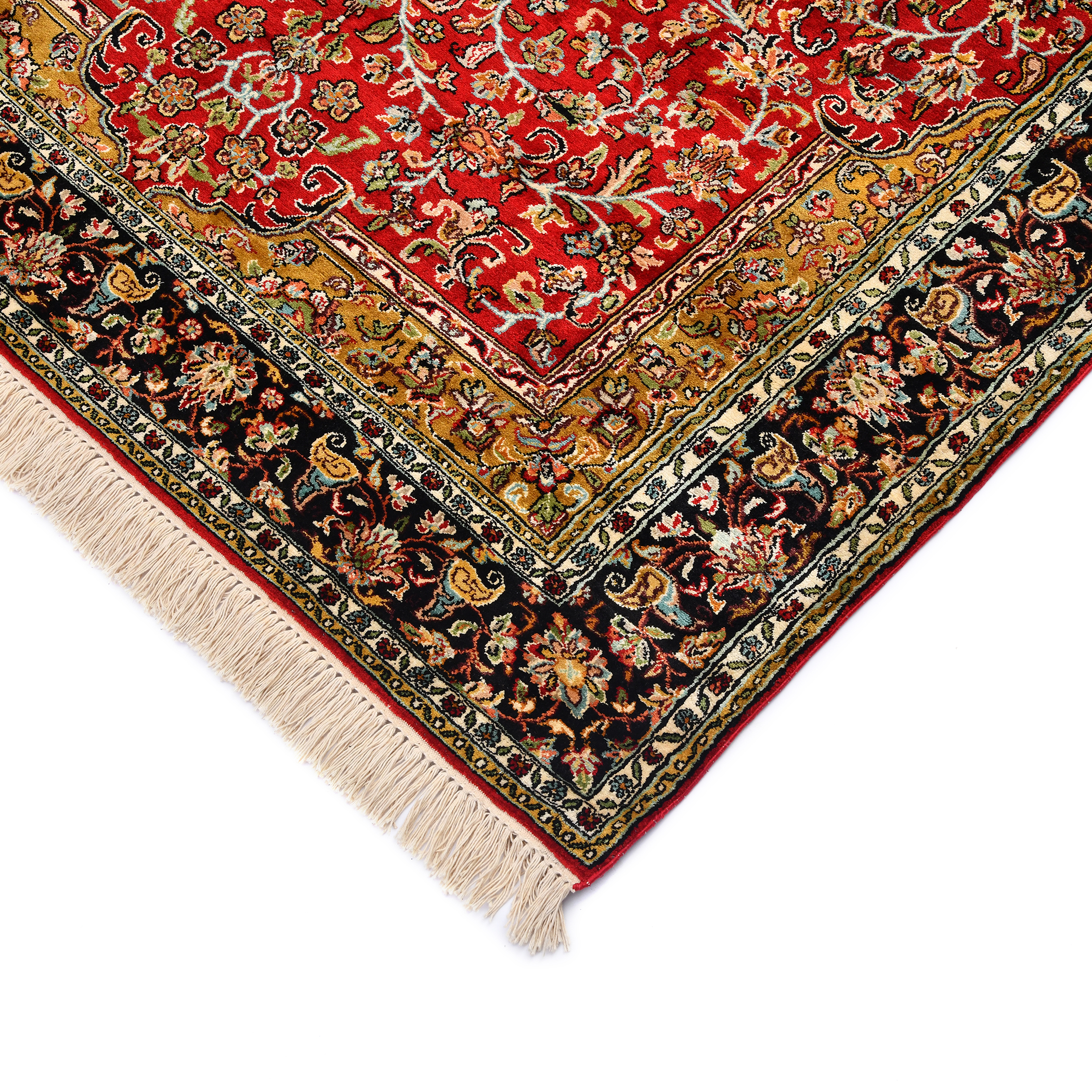 GULMARG GUL-12 RED BLACK Main Image