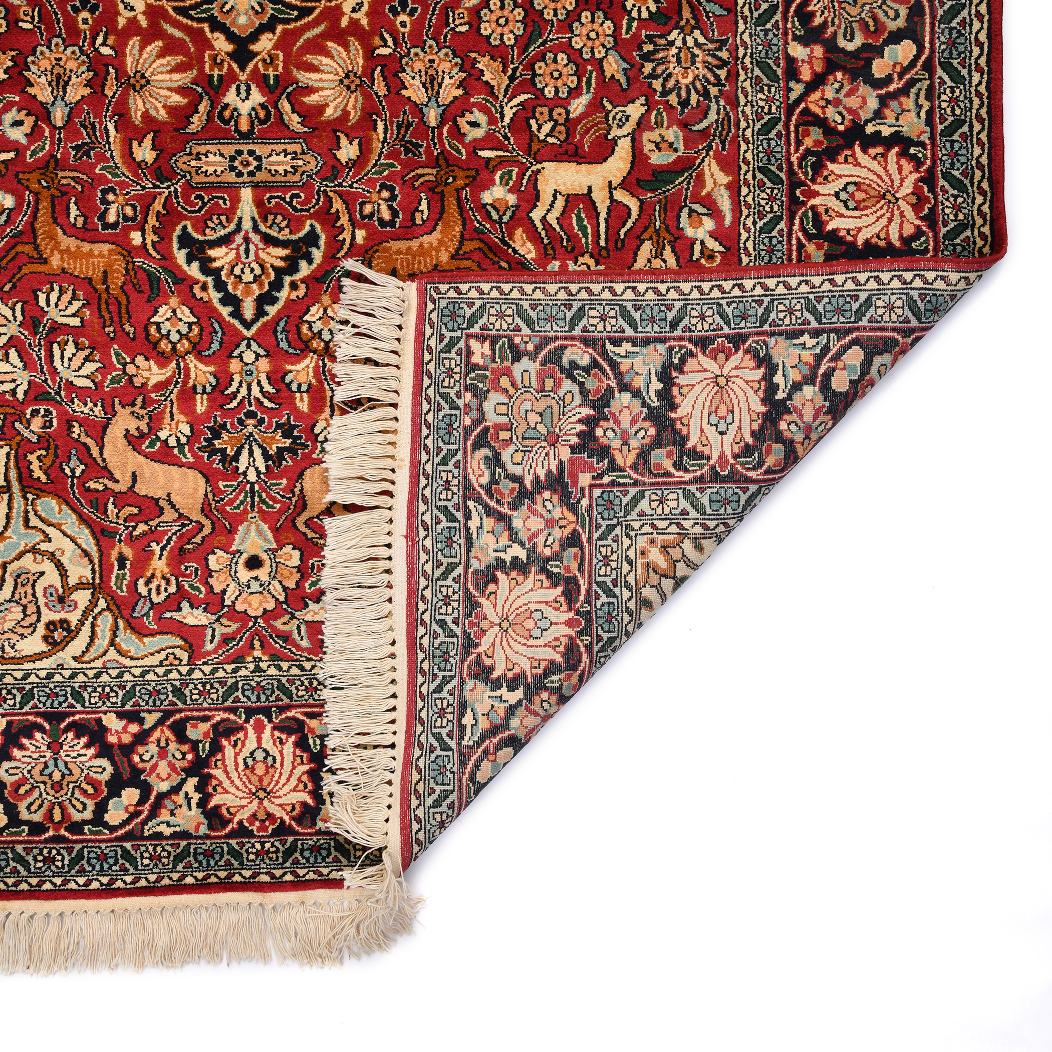 GULMARG GUL-31 RED NAVY Main Image