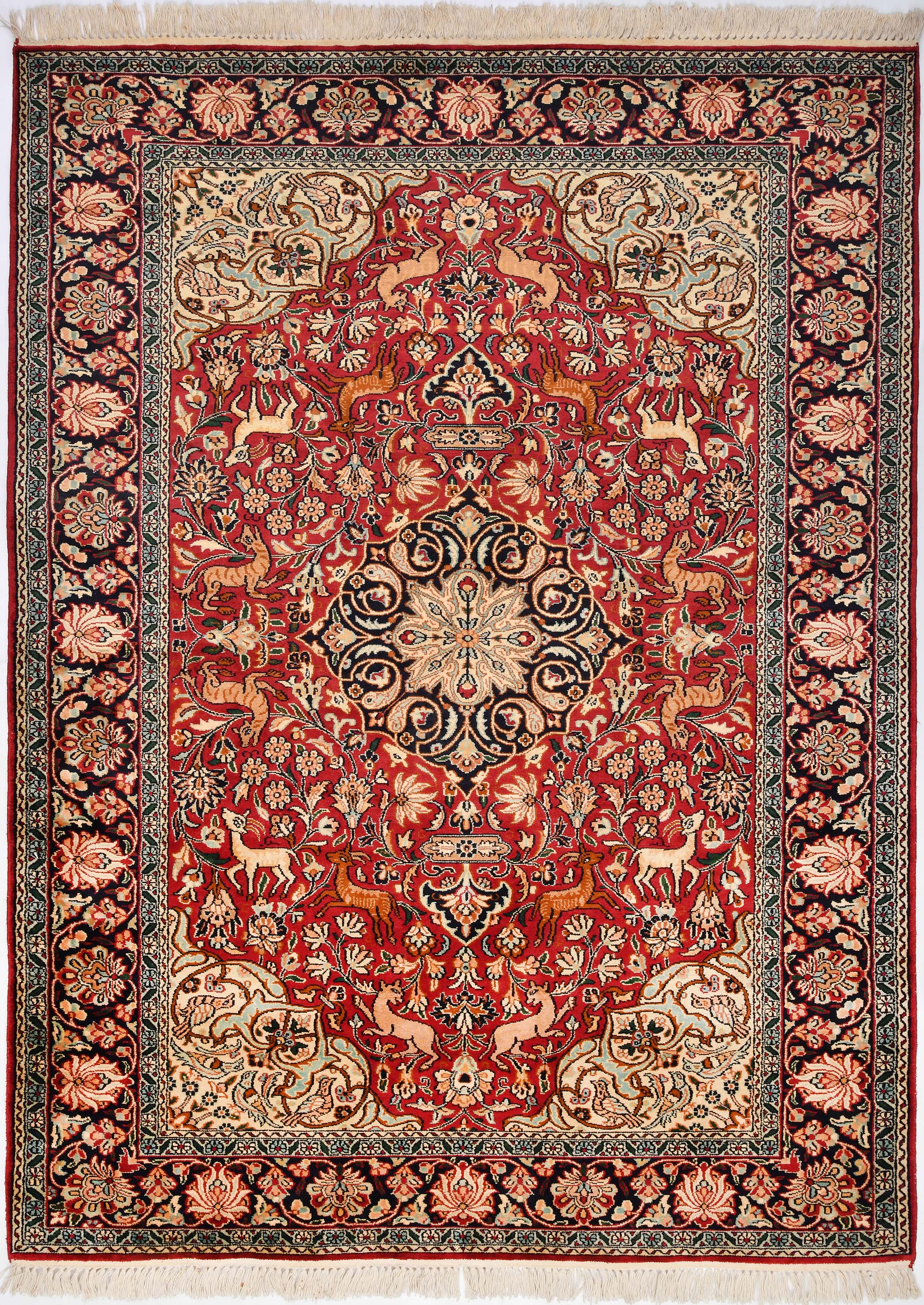 GULMARG GUL-31 RED NAVY Main Image