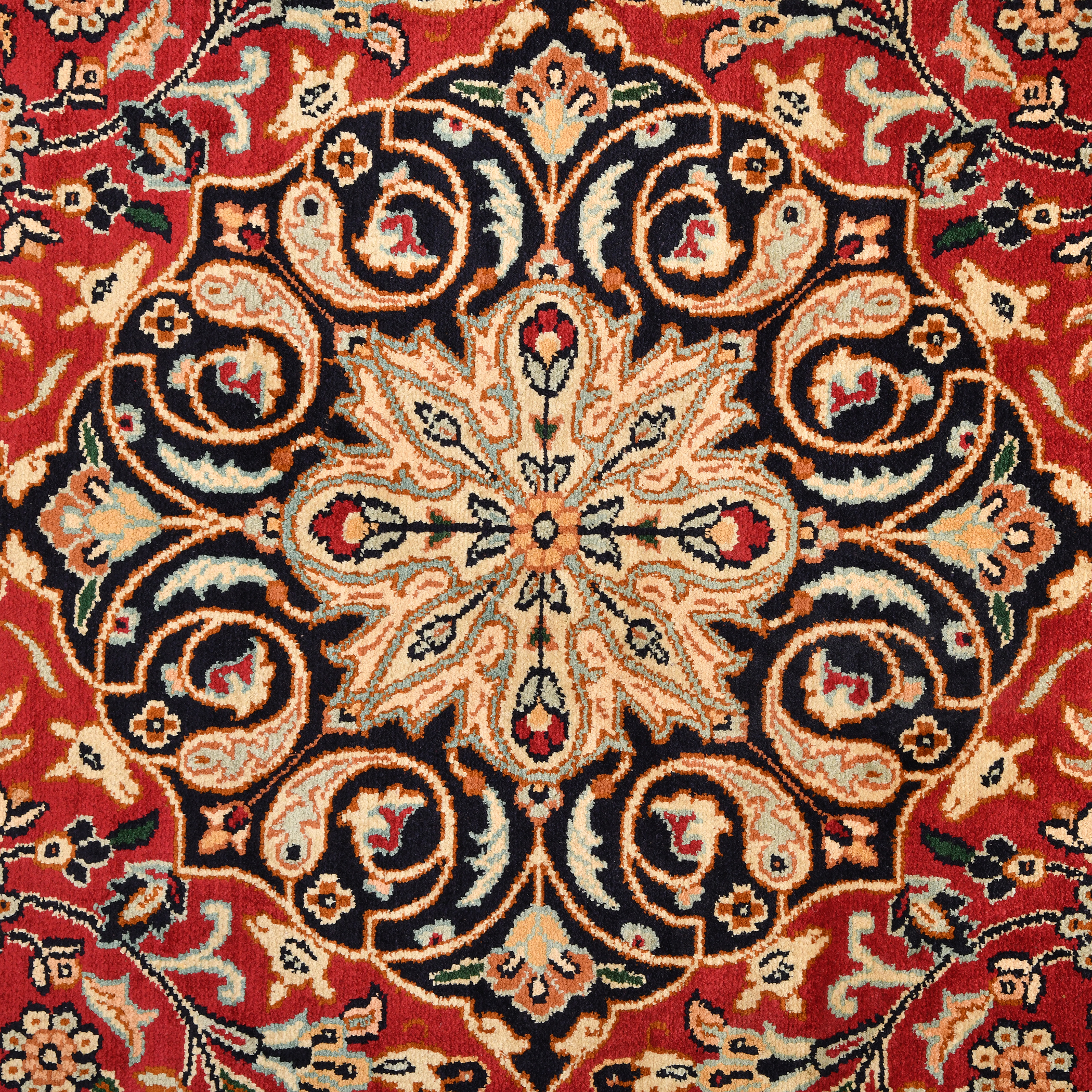 GULMARG GUL-31 RED NAVY Main Image