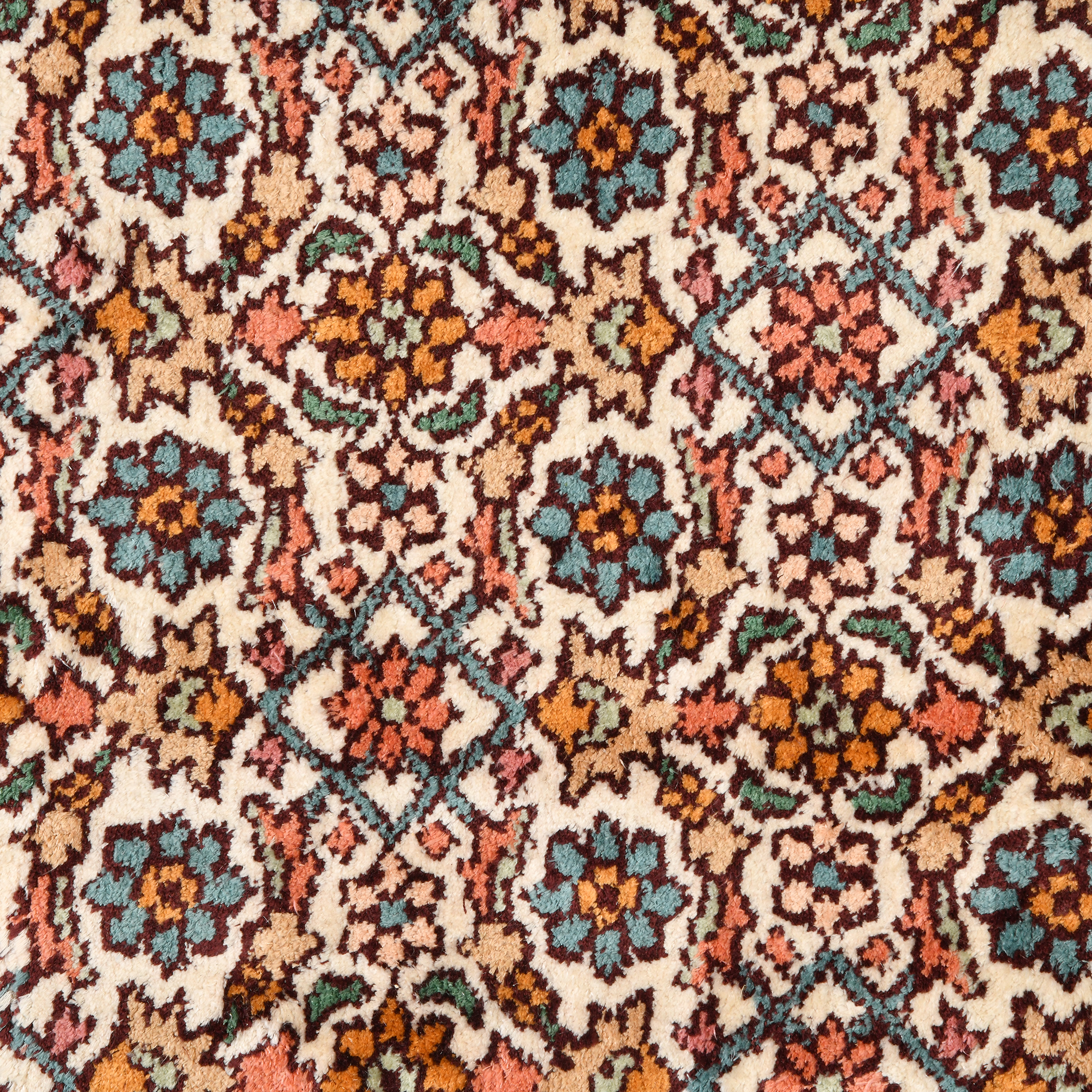 GULMARG GUL-42 BLACK IVORY Main Image