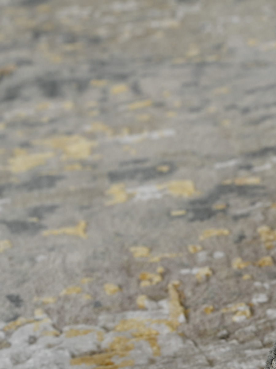 VOGUE VOG-24 IRON Main Image